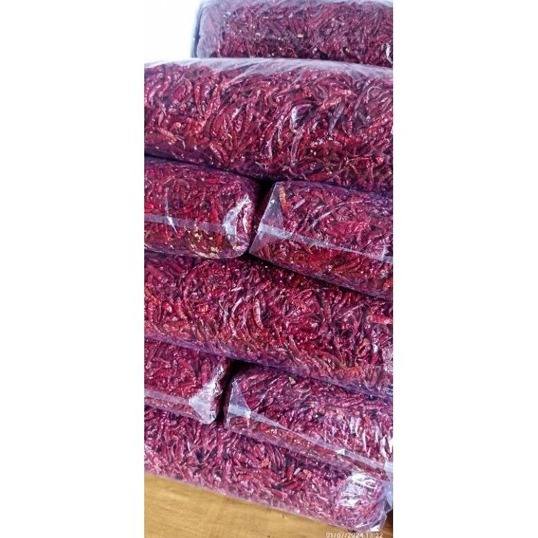 

Bermutu Paket Hemat 5 Kg Cabe Rawit Caplak Teja Super Pedas Tanpa Tangkai