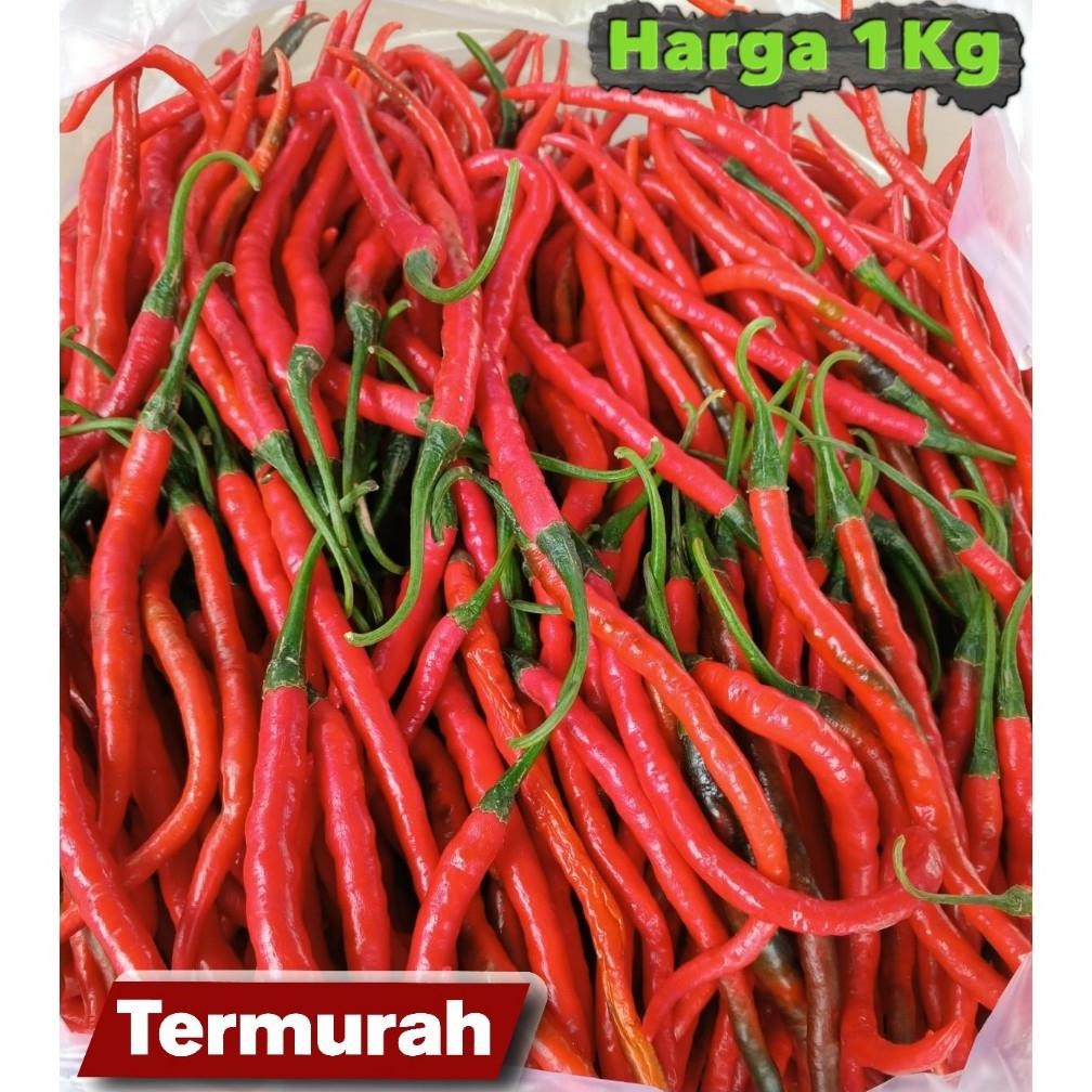 

Buktikan [ Jatim Saja ] Cabe Merah Keriting 1Kg / Cabe Keriting Merah 1Kilo / Cabai Keriting 1Kg Fresh Segar Panen Langsung Dari Petani