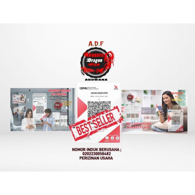 

Eelic Udang Fresh/ Udang Api Beku Isi 500Gram/ Pakan Ikan Arowana Predator Me-95