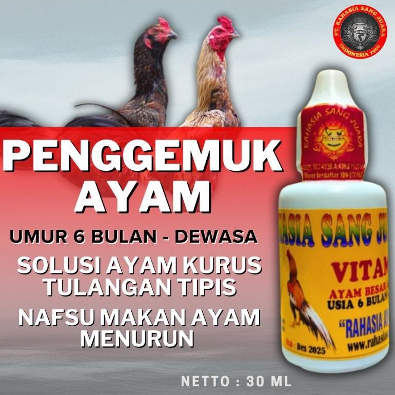 NEWW VITAMIN PENGGEMUK AYAM BANGKOK 6 Bulan - Dewasa - AYAM CEPAT BESAR isi 30 ml