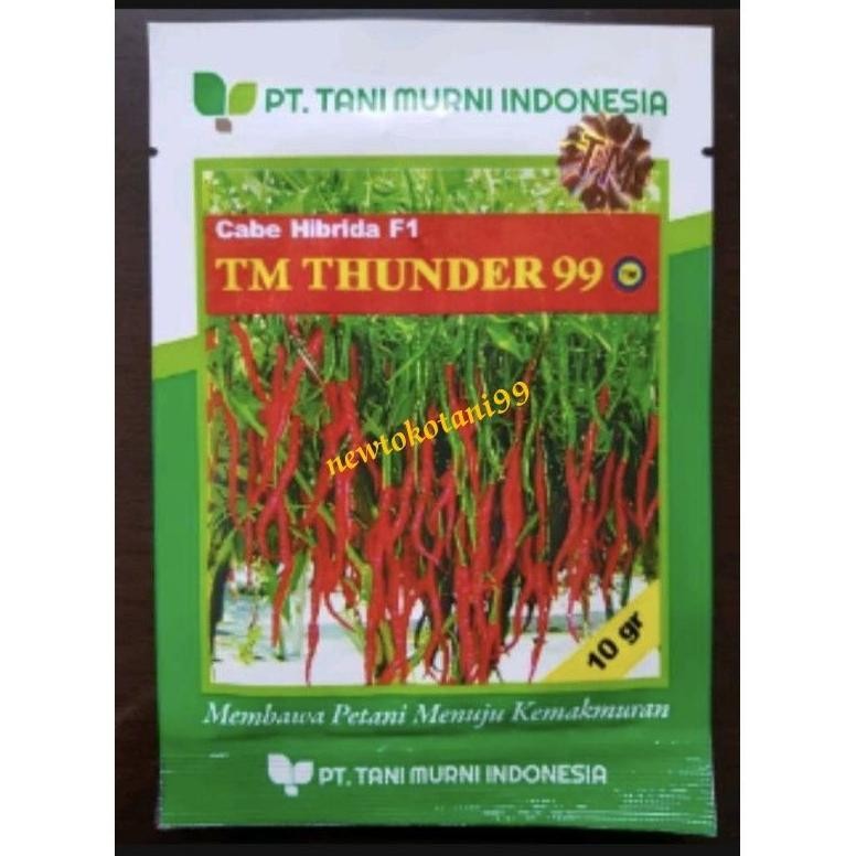 Benih cabe keriting TM THUNDER 99 10 gram cabai hibrida kriting dari tani murni cabe tm thunder 10gr