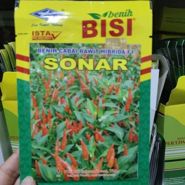 Benih cabe SONAR F1 10 gram cabai rawit hijau hibrida dari kapal terbang
