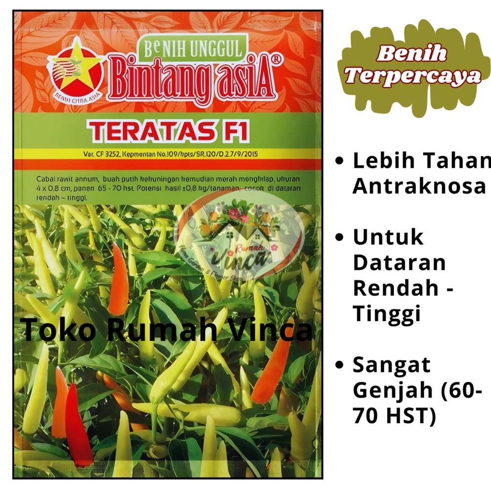 Benih Bibit Cabe Rawit Setan Super Genjah TERATAS F1 10g Bintang Asia