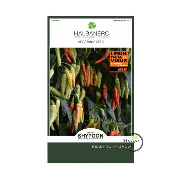 Benih Cabe Rawit Shypoon 10 Gram