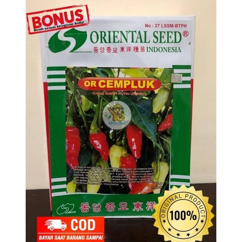 Benih Cabe Rawit OR Cempluk dari Oriental Seed
