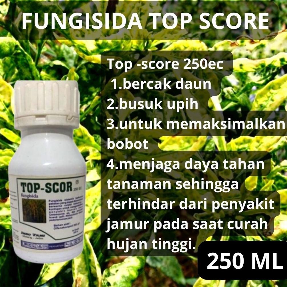 TOP SCORE 250EC 250ml FUNGISIDA SISTEMIK difenokonazol 250 sekor