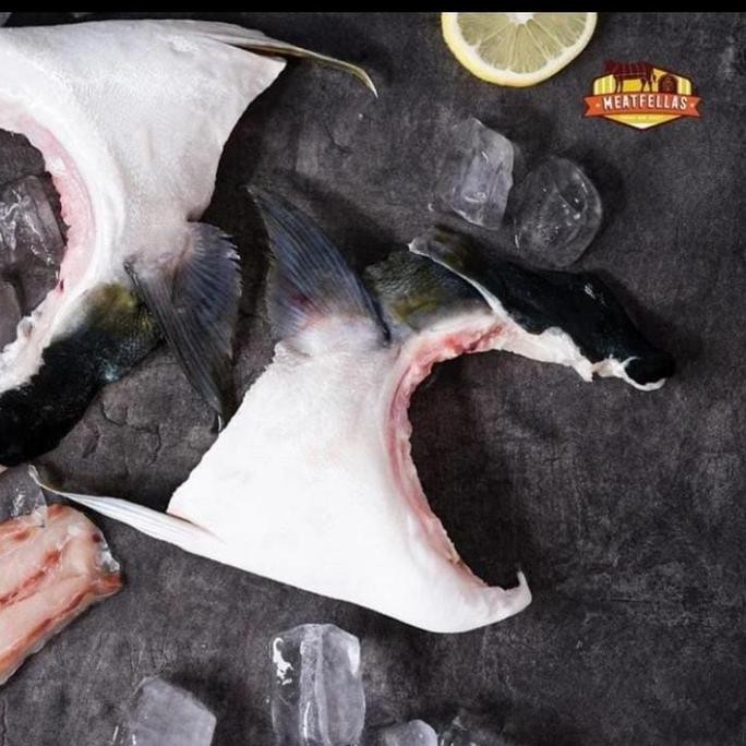 

Promo Hamachi Kama Premium Japanese Yellowtail COD