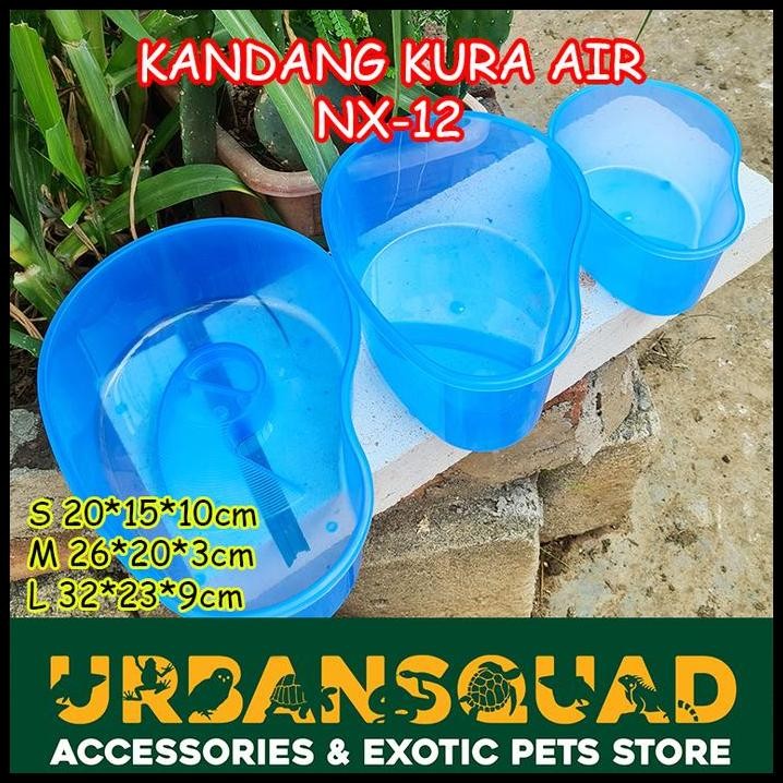 KANDANG KURA BRAZIL NX-12 DAMER RES AMBON SIEBNROCKY