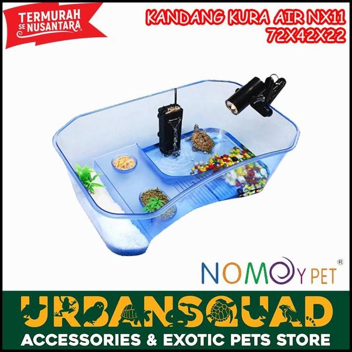 Kandang Kura Kura Air Jumbo Brazil Nx-11 Damer Hamiltoni DBT Siebenrocki