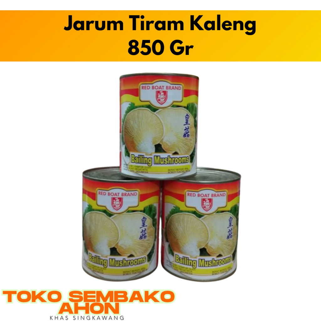 

Bailing Mushrooms / jarum tiram kaleng / jamur kaleng | Jamur Tiram Kaleng Bailing | Jamur Kalengan Premium