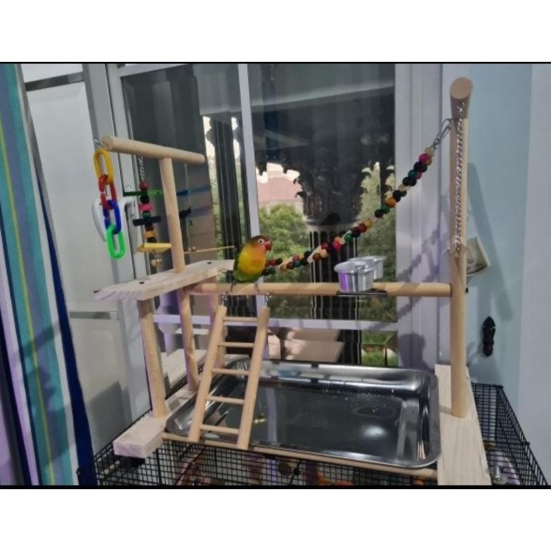 Mainan playground burung parrot small DiM