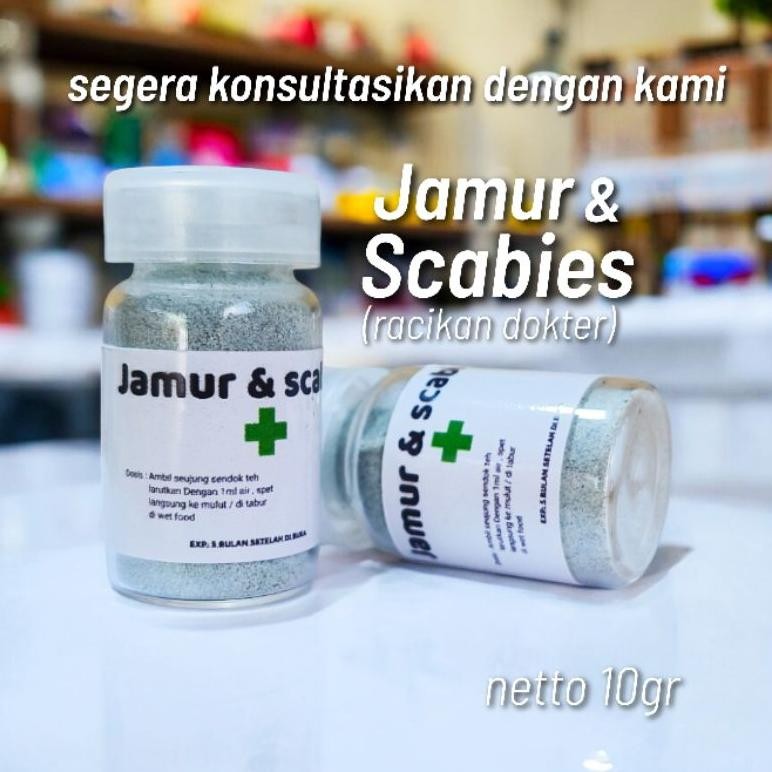 Obat Jamur kucing ampuh obat scabies kucing ampuh obat jamur scabies kucing ampuh obat jamur kucing 