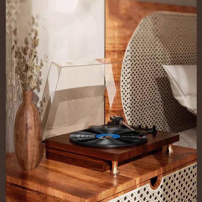 Pemutar Piringan Hitam Vinyl Player Turntable Vinyl Record Player Multifungsi Speaker Bluetooth NS