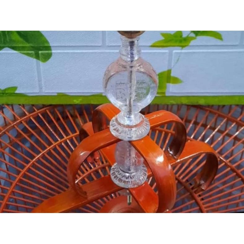 pion BNR murai sangkar mb BNR wajib prescup pion bening DiM