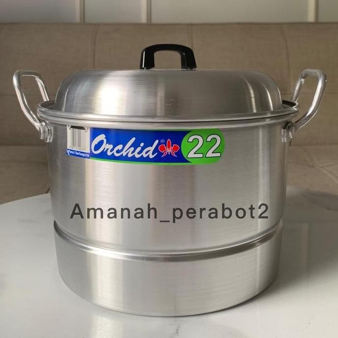 PANCI ORCHID ORI LANGSENG PANCI DANDANG ORCHID ORIGINAL PANCI TINGGU ORCHID BS