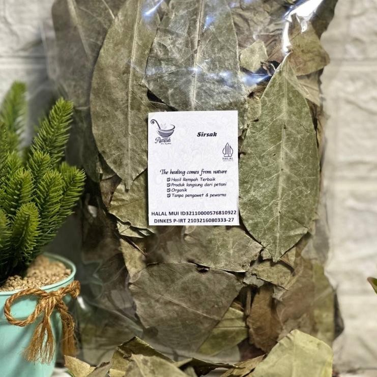 

Daun Sirsak Kering 500 Gram Grade A - Daun Sirsat Rempah Bu Risma Nugi
