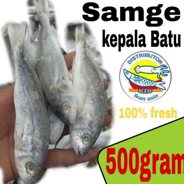 

Ikan asin kepala batu-500gram