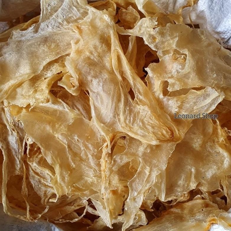 

HIPIO KAKAP MERAH KERING BESAR SUPER BIASA DIPAKAI DI RESTORAN PERUT GELEMBUNG HI PHIAU HUPIO YI PHIAU FISH MAW BELLY FISH BAHAN SUP HERBAL HISIT HAISOM SIRIP SOUP RESTO CHINESE FOOD KERAPU GORENG DRIED PUTIH CINA KC MANYUNG BUNTAL MAYUNG KURO LENCAM