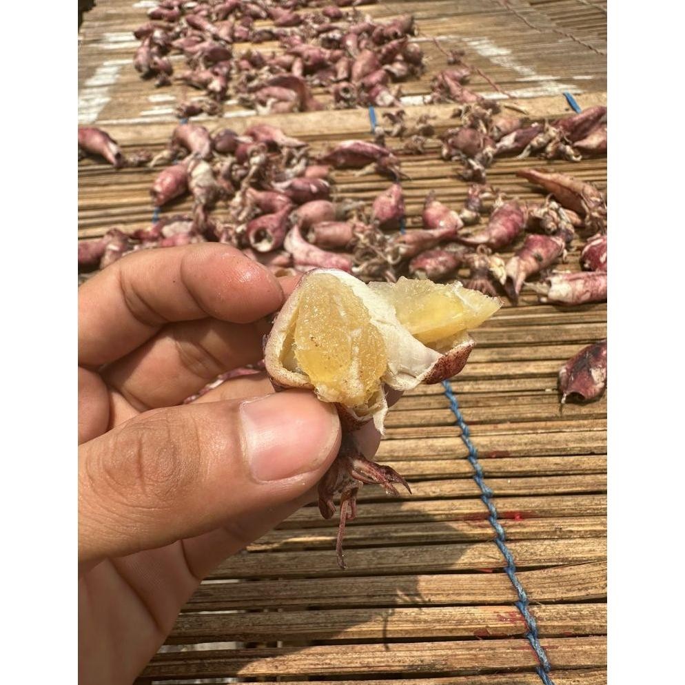 

Cumi Kering Telur 500g Cumi Telor Rebus Kering Size Besar 100 Puas Produsen Ikan Asin Jakarta