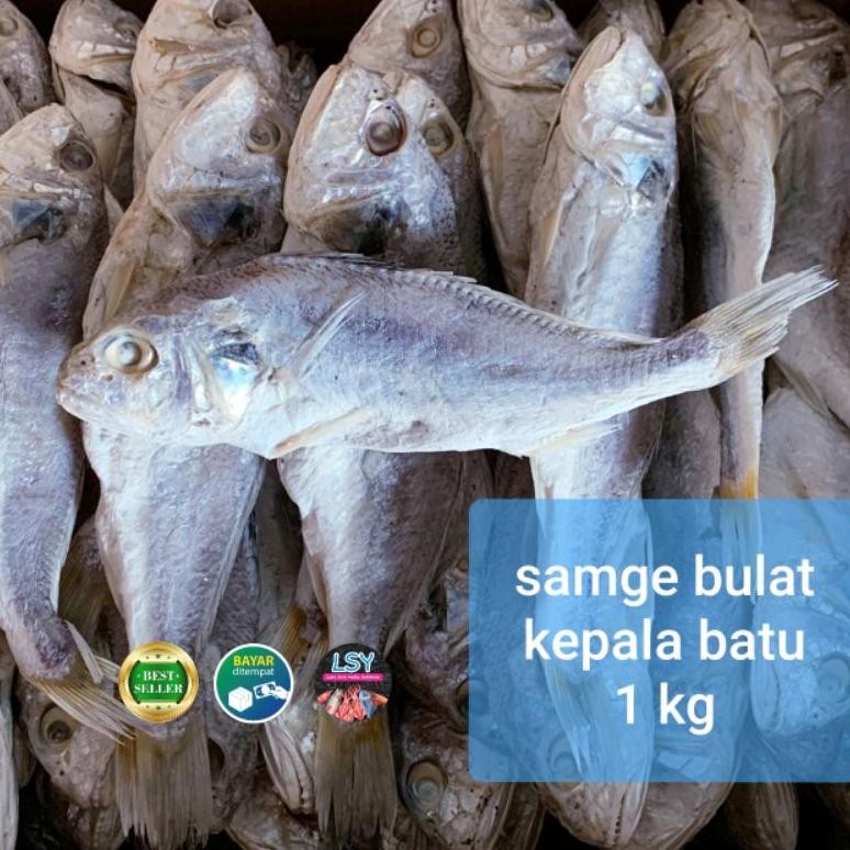 

ikan asin samge kepala batu 1 kg