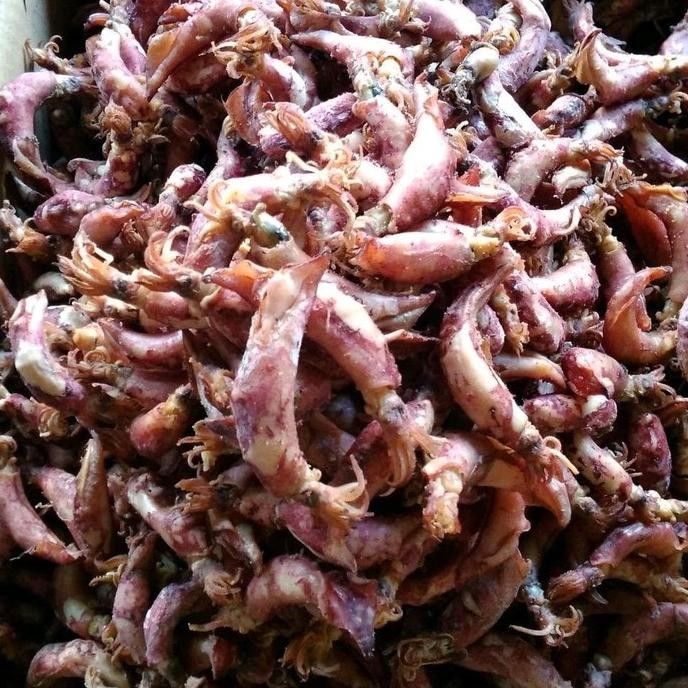 

cumi asin kerring 1 kg cumi asin enak- cumi Beby kering