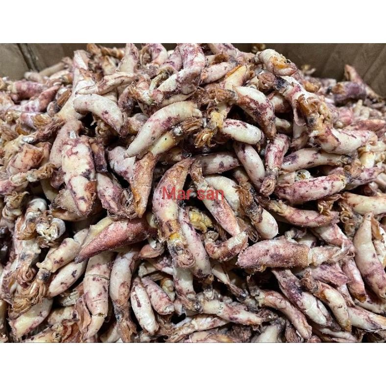 

Sotong Telur premium 250g- 500g kering kualitas no 1