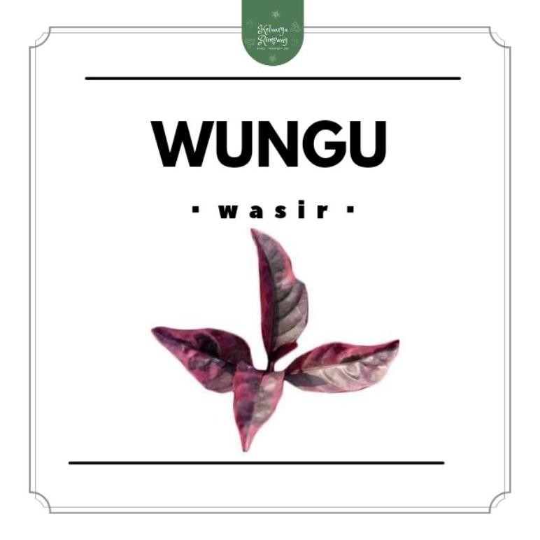 

Wasir | Ambeien by Keluarga Rimpang Nugi