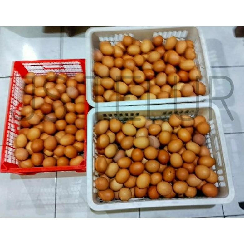 

Telur ayam negeri ukuran kecil 1kg isi 18-22 butir langsung kirim/instan Nugi