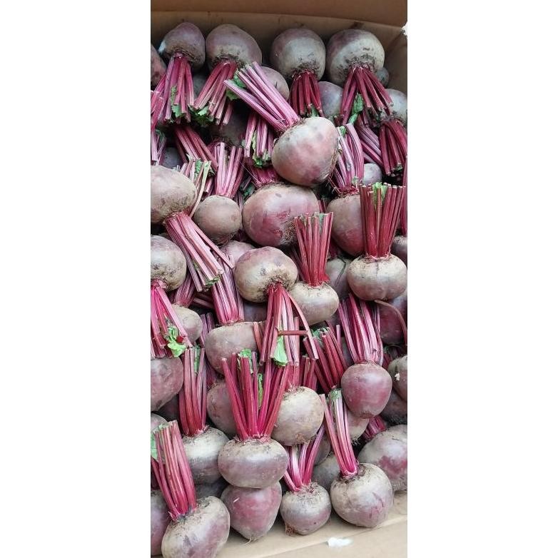 

Buah bit Organik Fresh 1kg Nugi