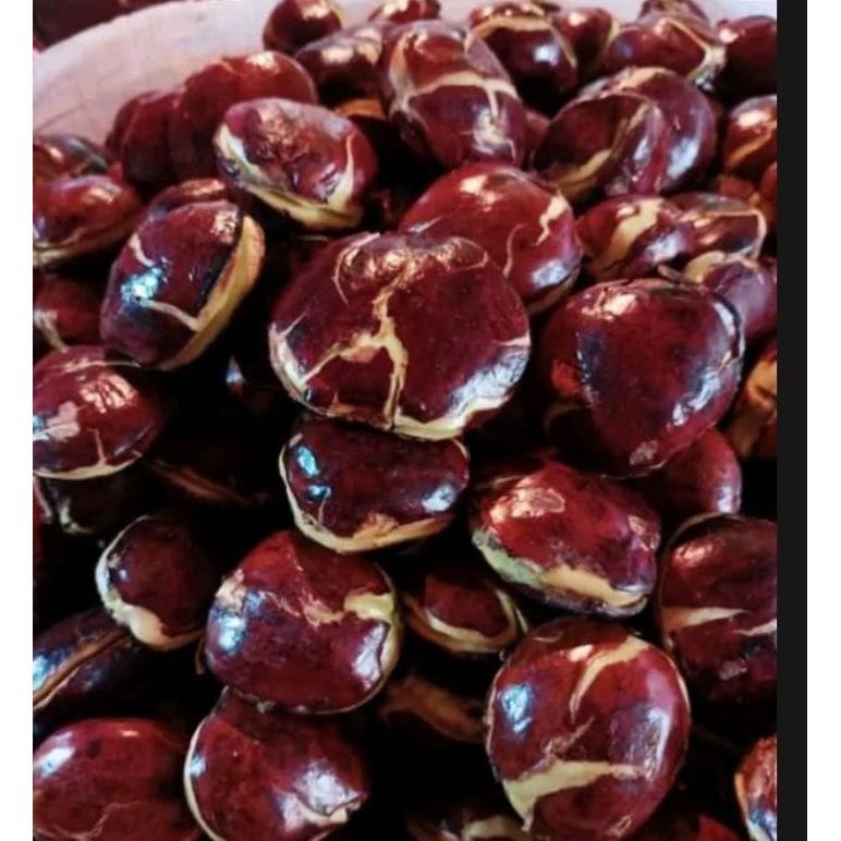 

JENGKOL PULEN HASIL KEBUN SENDIRI Nugi