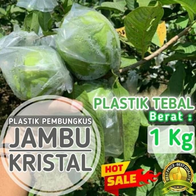 Plastik pembungkus jambu kristal / plastik buah / plastik pembungkus jeruk / sawo .