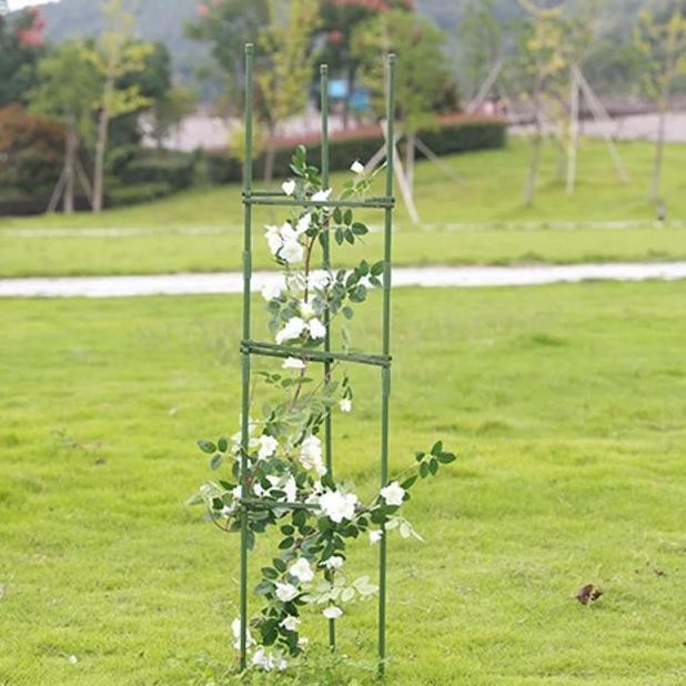 Penyangga Tanaman / Rambatan Tanaman Anggur