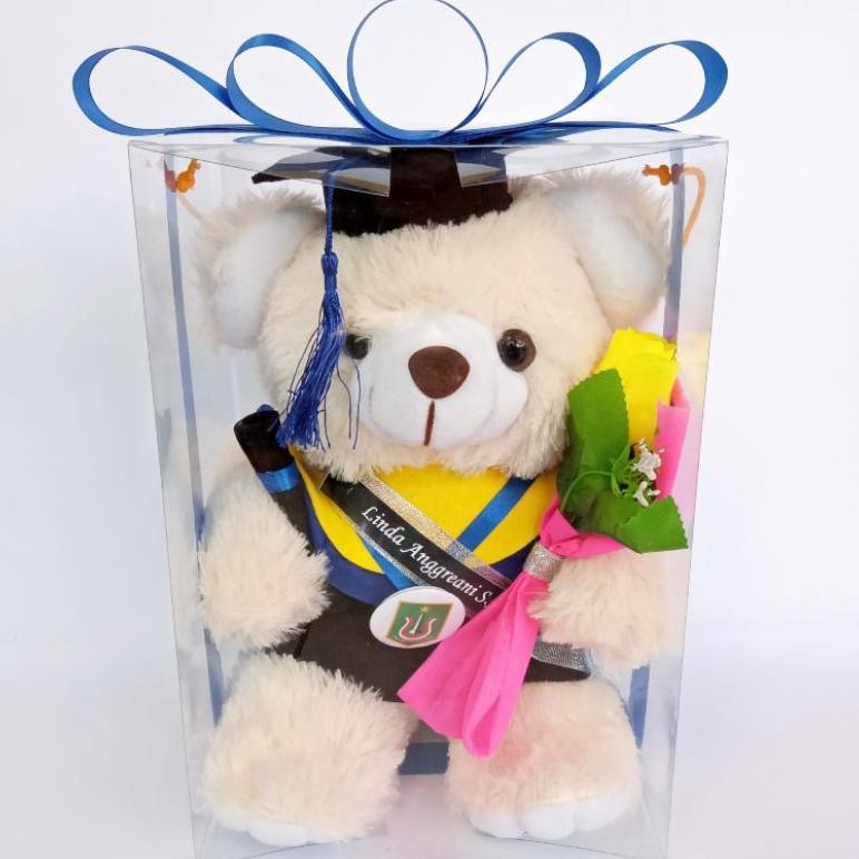 TEDDY BEAR WISUDA 30cm KOTAK MIKA / BONEKA WISUDA MURAH Nugi