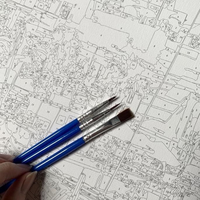 

Paint by Numbers 50x40cm, melukis mudah dengan angka (FRAMED)