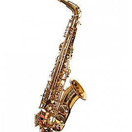CONN SELMER AS651DIR ALTO SAXOPHONE OUTFIT BMJ - G ORIGINAL DAN TERPERCAYA