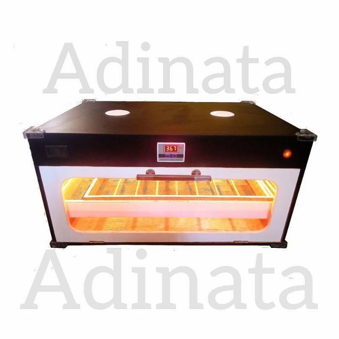 Inkubator Tetas Telur 50 Full Otomatis Original Dan Terpercaya