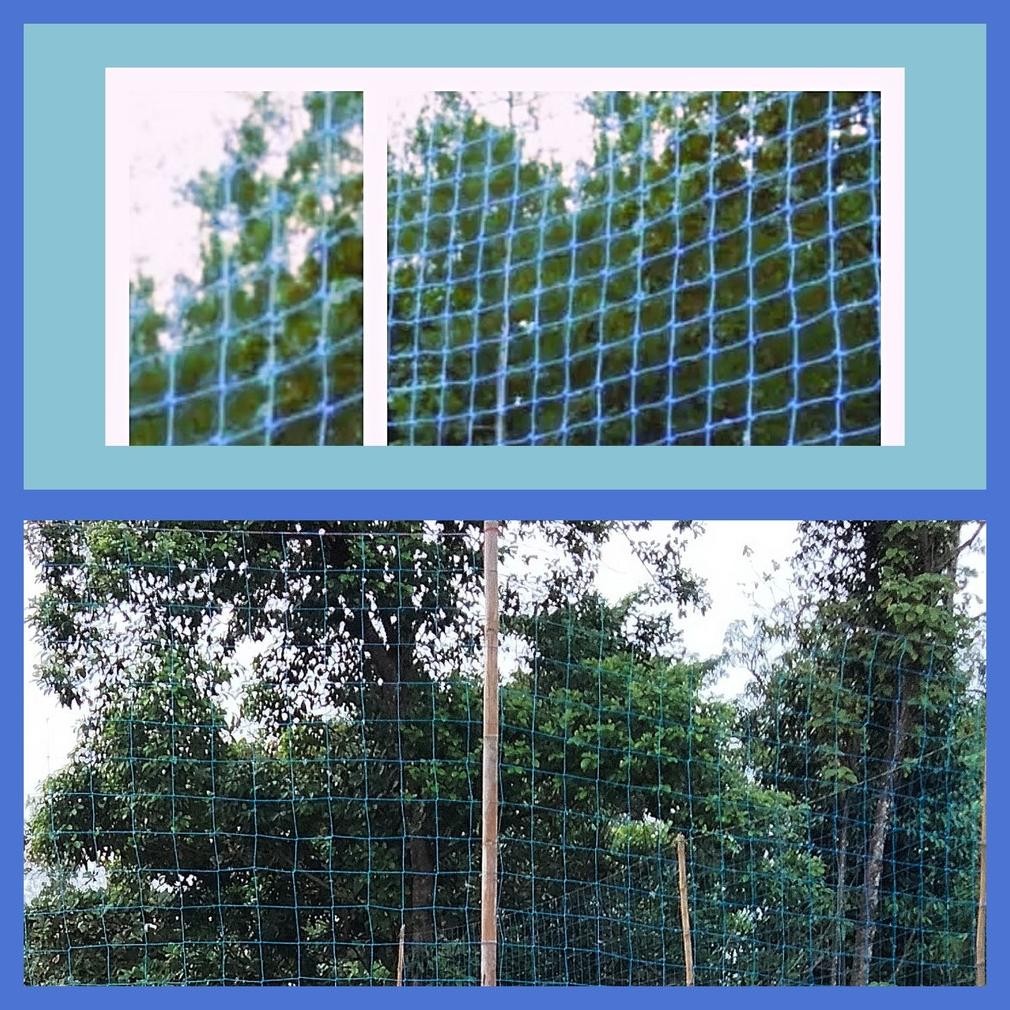 Jaring Pengaman Voli Jaring Pagar lapangan Voly 2mm Jaring Lapangan Volly 2mm