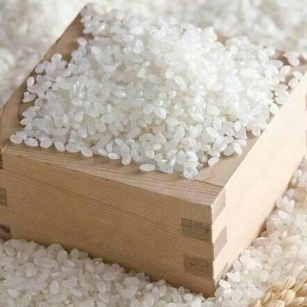 

BERAS KHOSHIHIKARI 5 KG JAPONICA READY STOK KEMASAN ORIGINAL EXP 12/06/2026