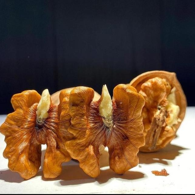 

=====] Kacang Walnut akhrot charmaghz 200 gr