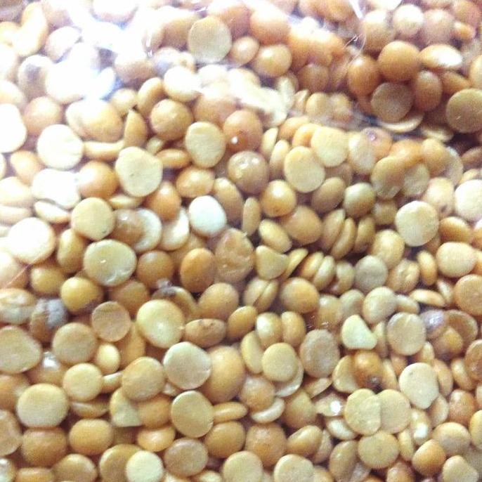 

:::::::] toor daal toor dal kacang door