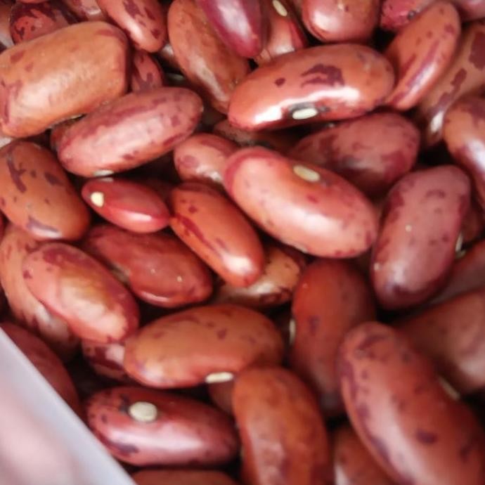 

@@@@] Lobia (kacang merah) pilihan