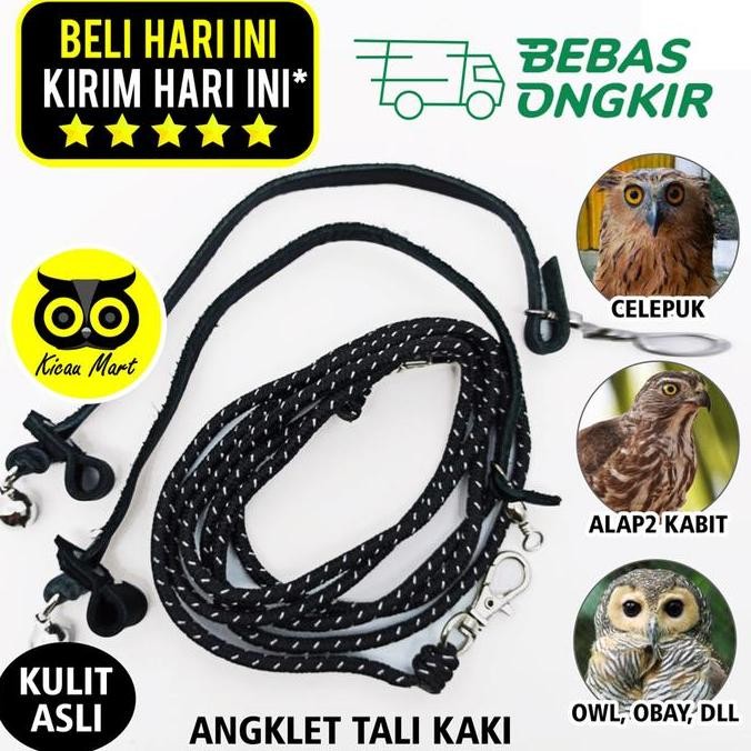 populer] ANKLET CELEPUK TALI BURUNG HANTU ANGKLET CELEPUK KASTREL BIDO ALBA ANG