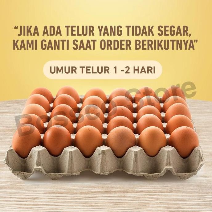 

Produk Baru!! Telur Ayam Premium 30 Butir Segar Tray Negeri Grade A Jumbo