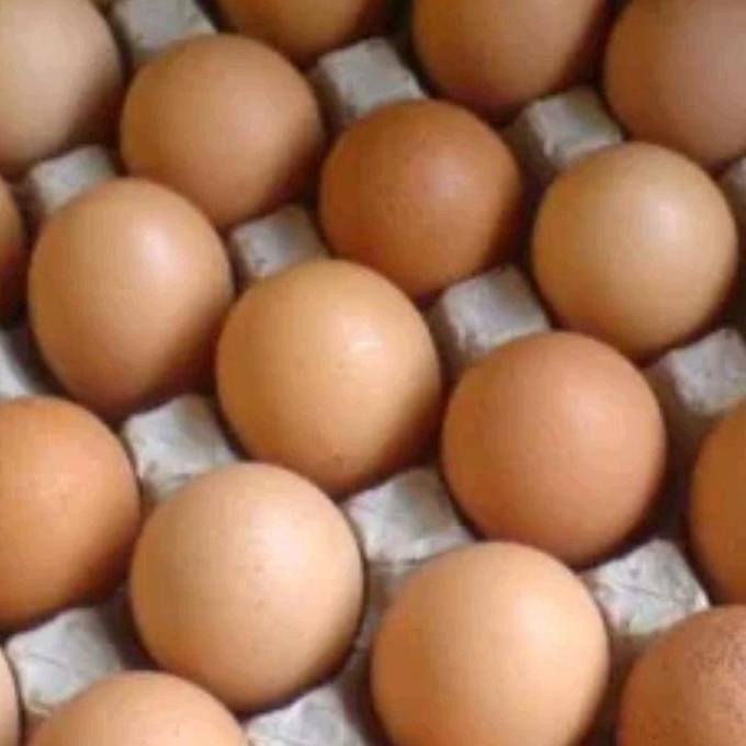 

Produk Baru!! Telur Ayam Negeri Jumbo Isi 1315 Butir Ukuran Besar