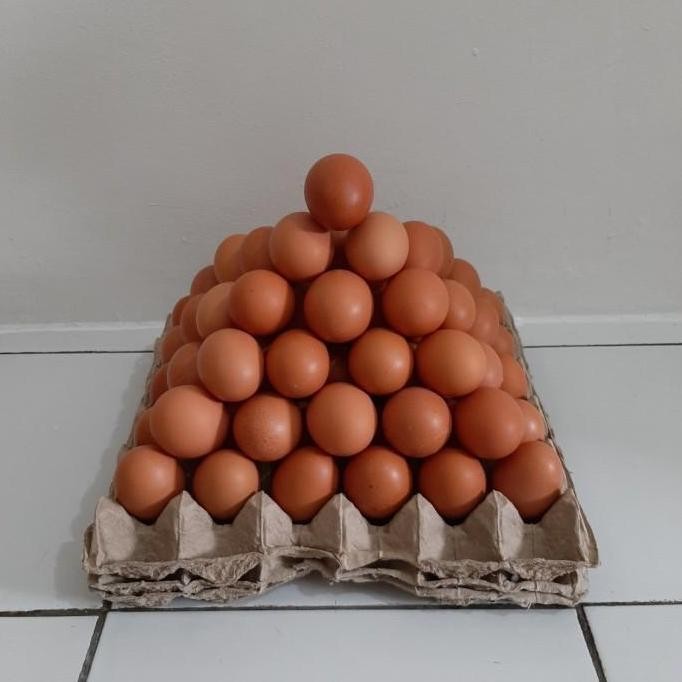 

Produk Baru!! Telur Ayam Negeri Segar 2Kg Ukuran Besar untuk Masakan