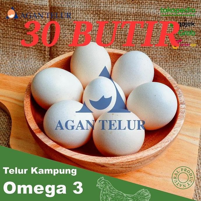 

Produk Baru!! Telur Ayam Kampung Omega 3 Isi 30 Butir Premium Sehat