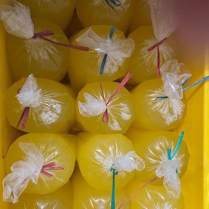 

Produk Baru!! Putih Telur Fresh 2 Kg - Egg White Murni Siap Masak / Minuman