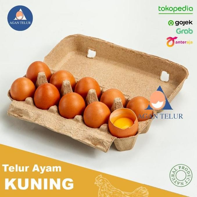 

Produk Baru!! Telur Ayam Negeri Segar Isi 10 Butir Telur Ayam Putih Fresh