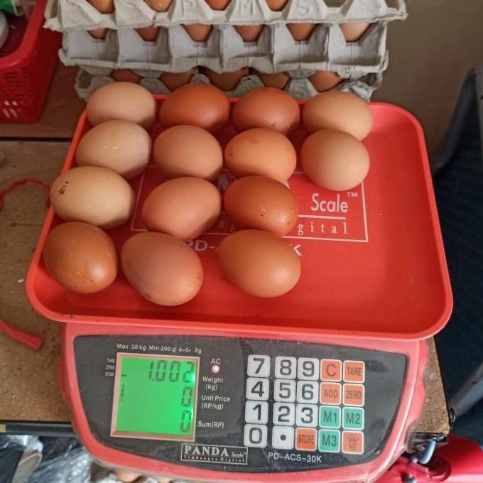 

Produk Baru!! Telur Ayam Negeri Isi 14-15 Butir Berat 1kg Fresh Bergizi