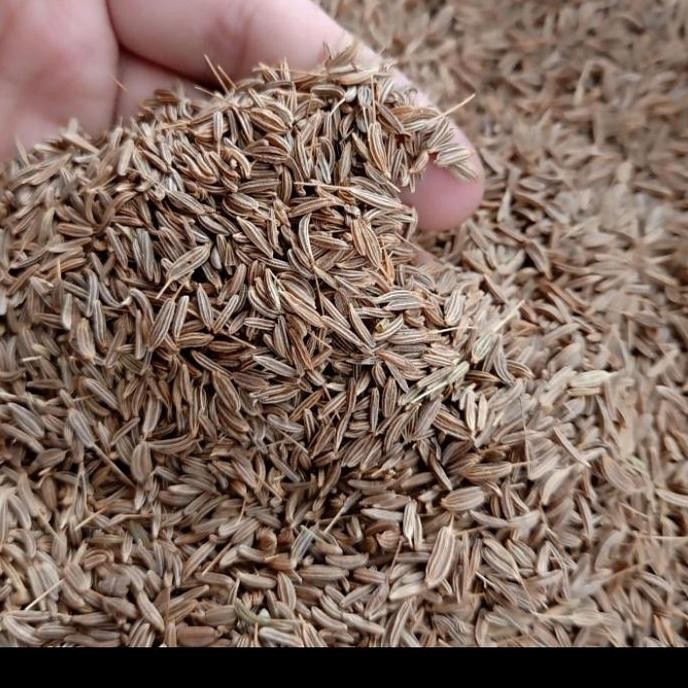 

] CUMIN SEEDS / JEERA / JINTAN WANGI INDIA 1 KG
